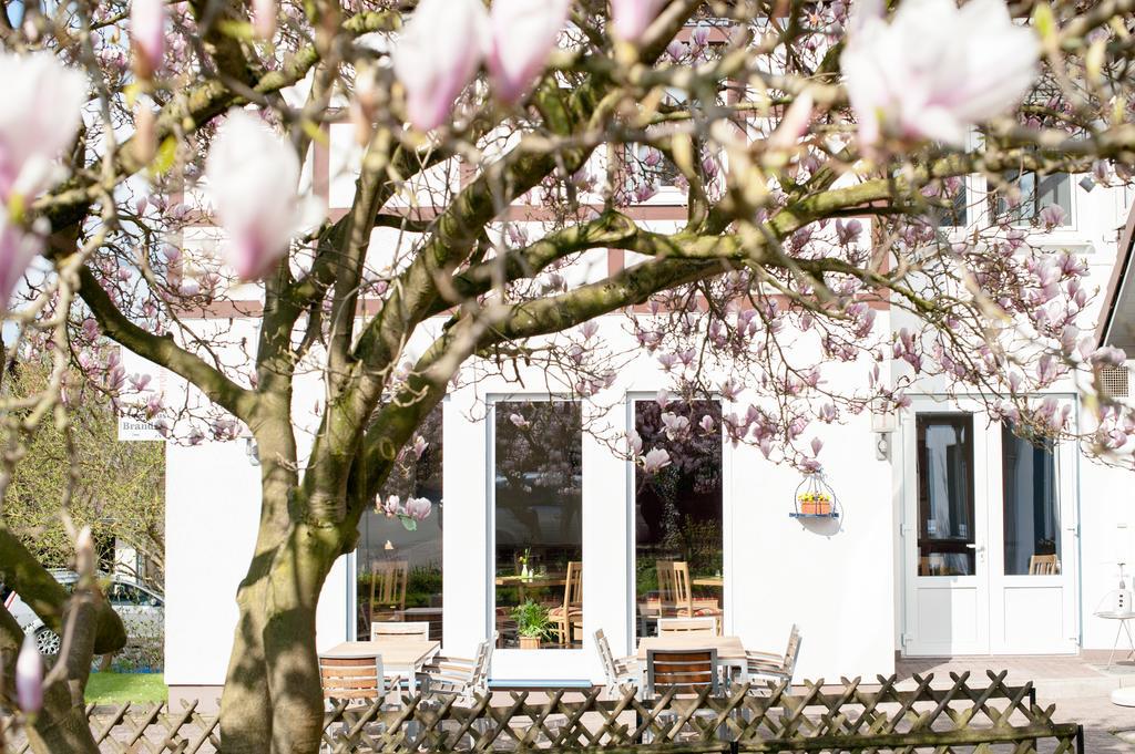 Hotel & Restaurant - Gasthaus Brandner Trendelburg ภายนอก รูปภาพ